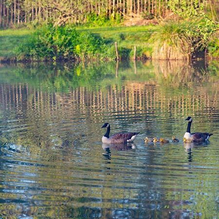 Beautiful Willow Lodge 67-4-6 Persons-Private Hot Tub-Pet Friendly-Tranquil Holiday Away From It All Yet Not Far To St Austell-The Holiday Home Has Two Bedrooms, Living & Dining Area, Equipped Kitchen -Decking-Al Fresco Dining-Fishing Lakes-Pet Frien Grampound Exterior foto